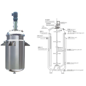 Réservoir de fermentation biologique du système d# 39;搅拌